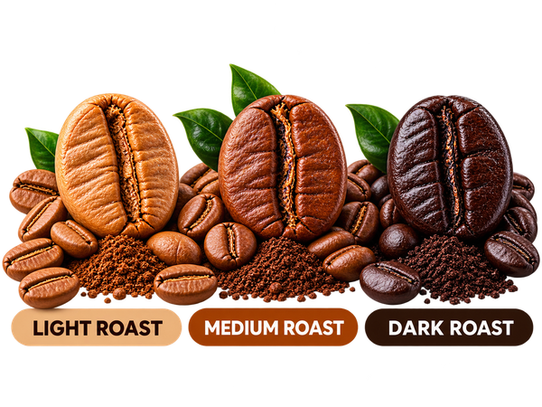 Coffee Roast Levels
